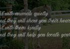 Sit with Animals