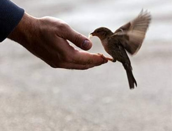 Kindness