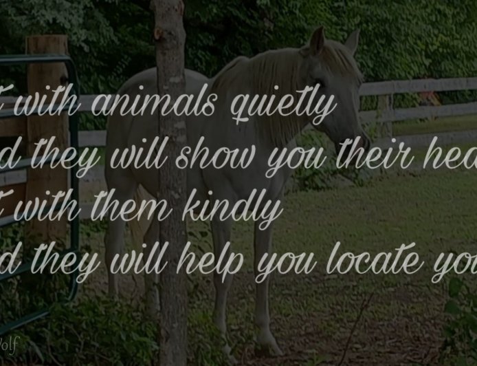 Sit with Animals