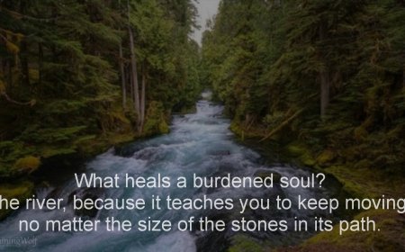 What Heals a Burdened Soul